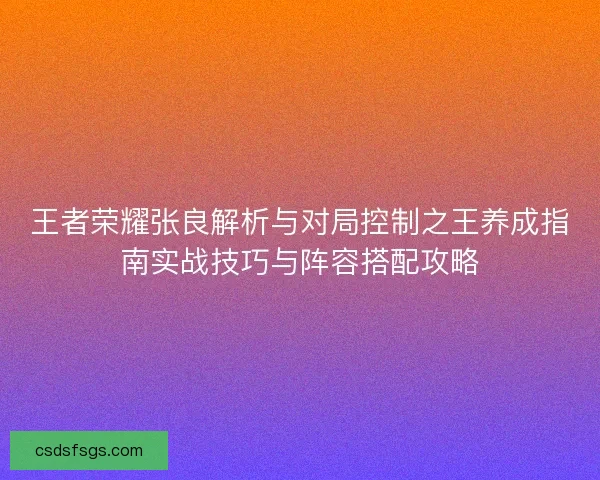 王者荣耀张良解析与对局控制之王养成指南实战技巧与阵容搭配攻略