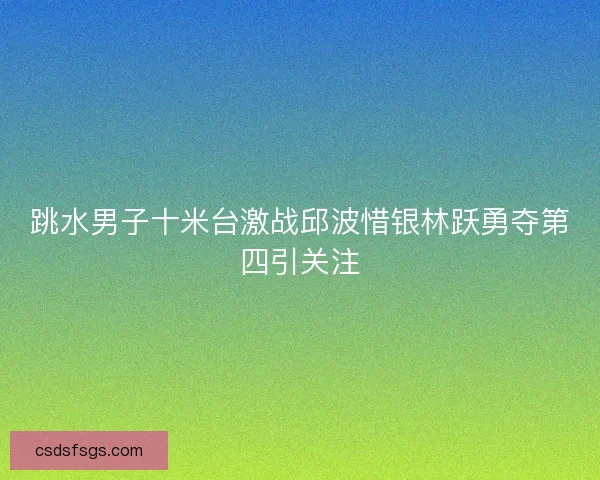 跳水男子十米台激战邱波惜银林跃勇夺第四引关注 跳水男子十米台激战邱波惜银林跃勇夺第四引关注